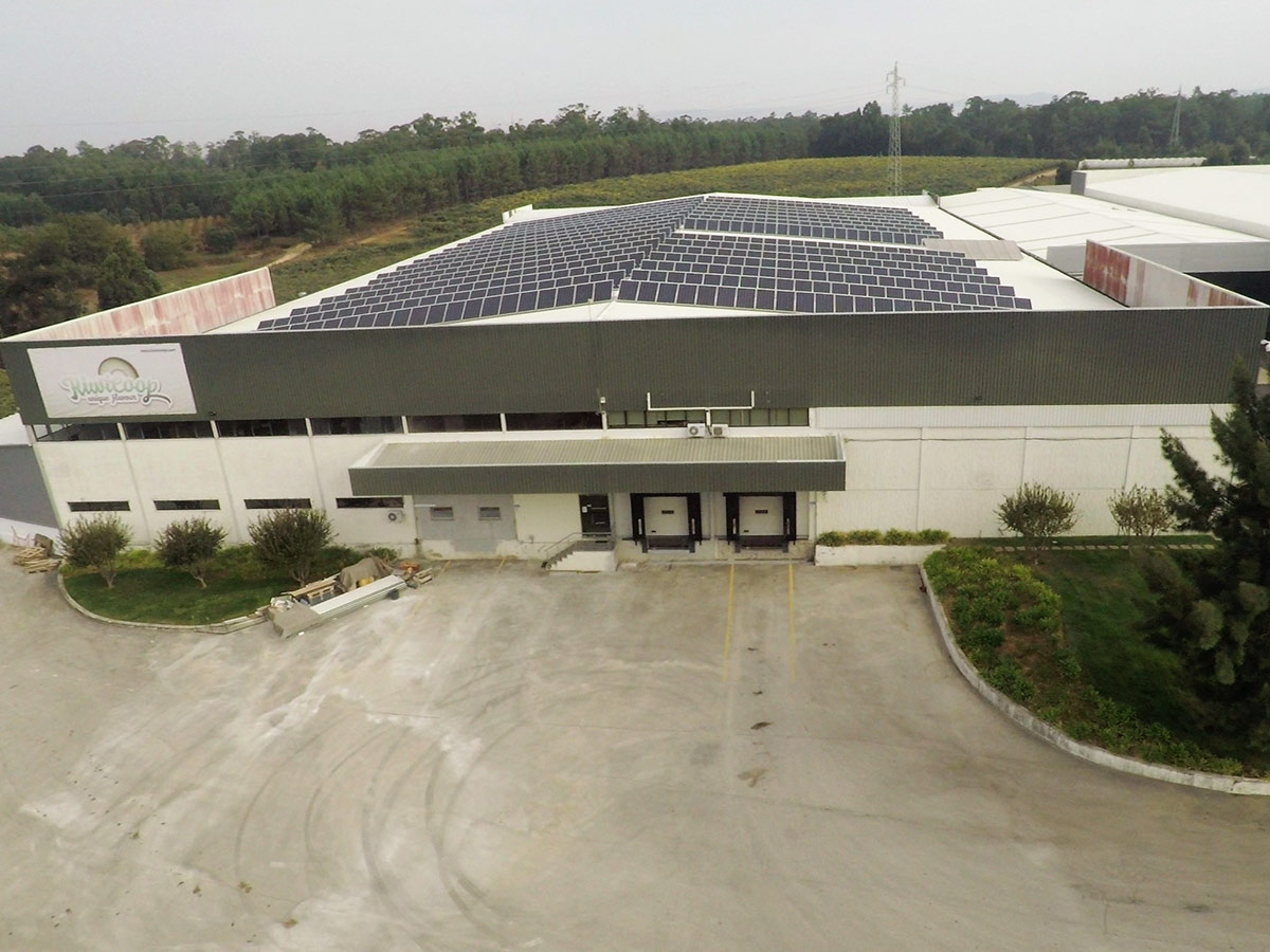 KiwiCoop, Oliveira do Bairro